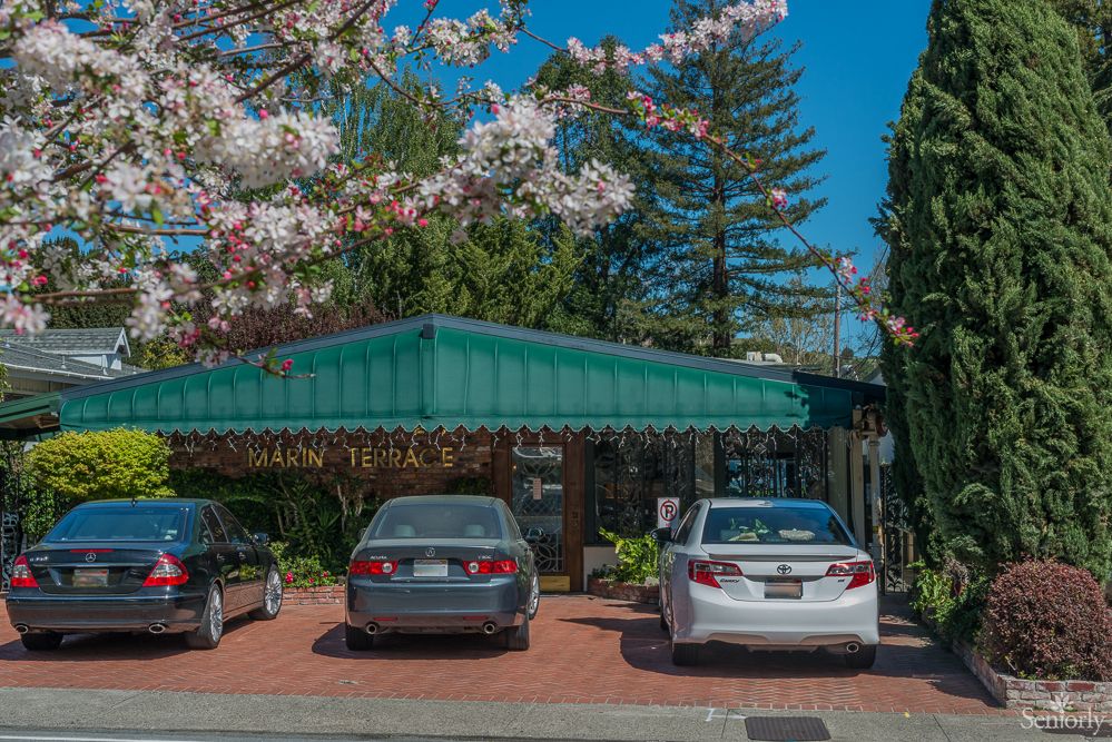 A small parking area with cars parked under a green awning surrounded by blooming trees.