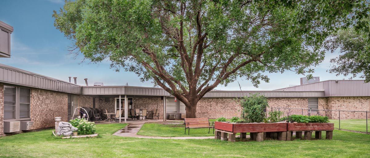 A lush garden with a large tree, benches, and a building in the background.