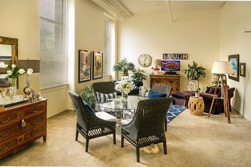 A cozy and inviting living room featuring stylish furniture, decorative plants, and artwork.