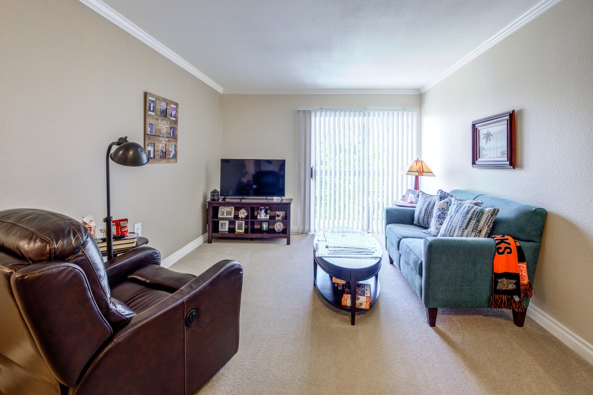 A cozy living room with a sofa, TV, and coffee table.