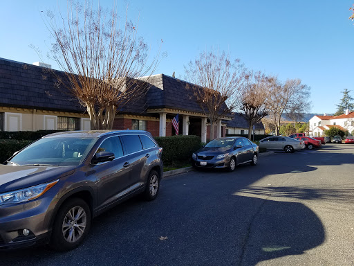A peaceful residential street lined with parked cars and bare trees.