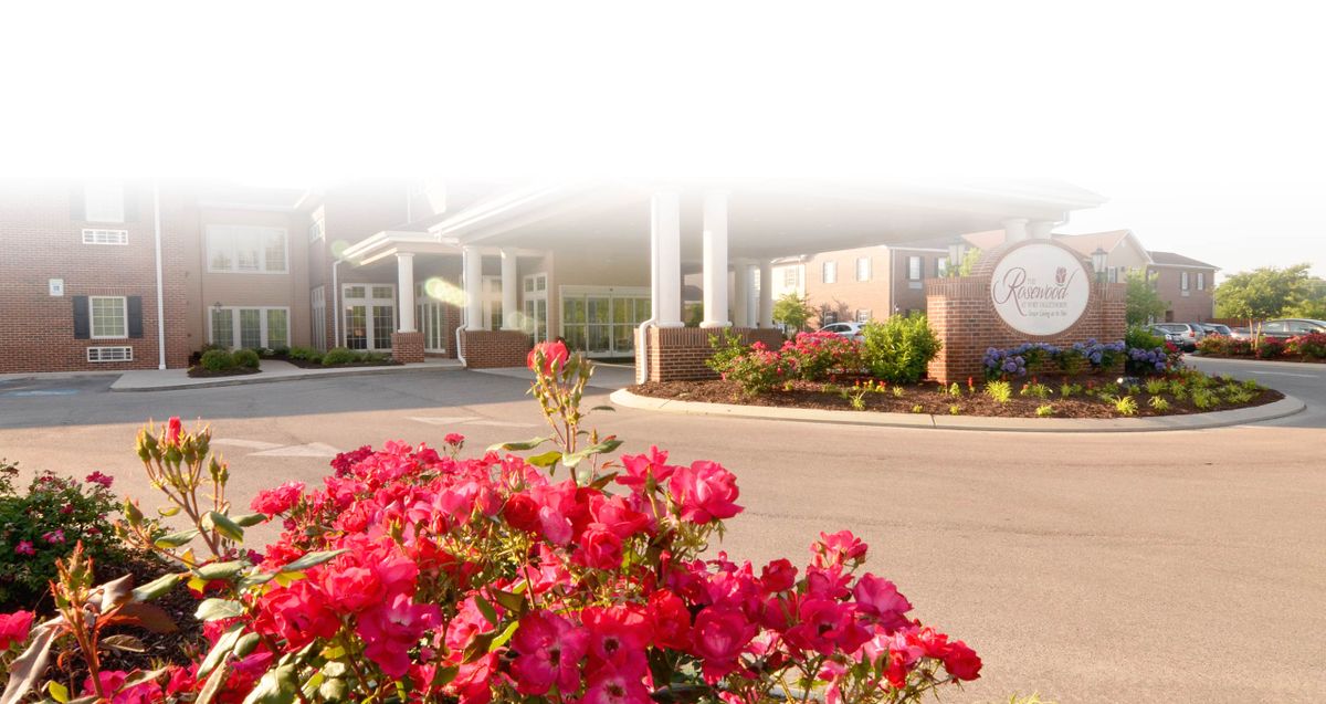 A vibrant display of pink flowers in front of a building entrance on a sunny day.