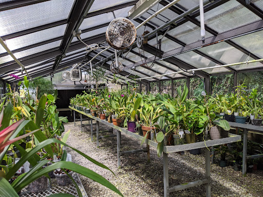 A well-organized greenhouse filled with various plants, showcasing a thriving indoor garden.