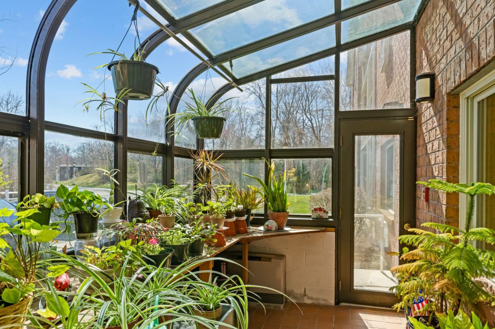 A sunlit greenhouse filled with a variety of potted and hanging plants.