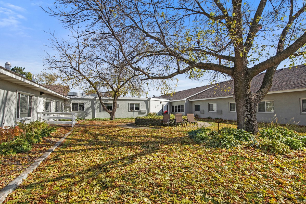 A backyard with trees and fallen autumn leaves, surrounded by houses.