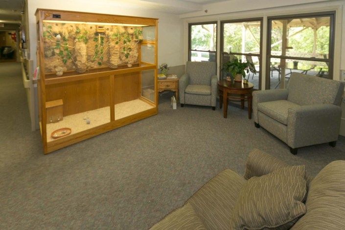 A cozy living room with comfortable seating, a large window, and indoor plants.