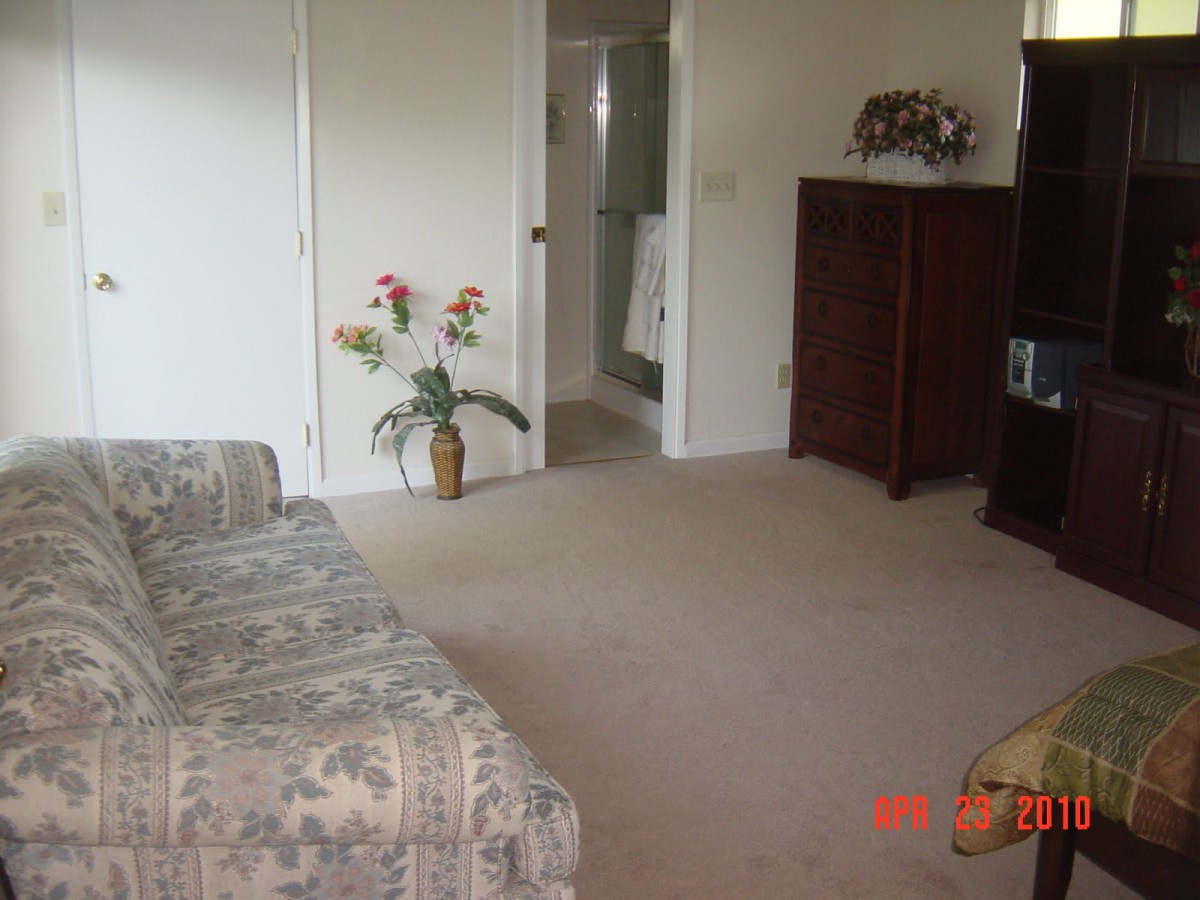 A cozy living room with a sofa, television, and decorative elements such as a vase with flowers.