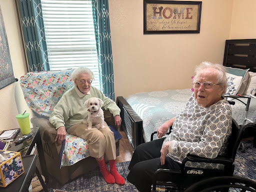 Two elderly women enjoying each other's company with a small dog in a cozy living space.