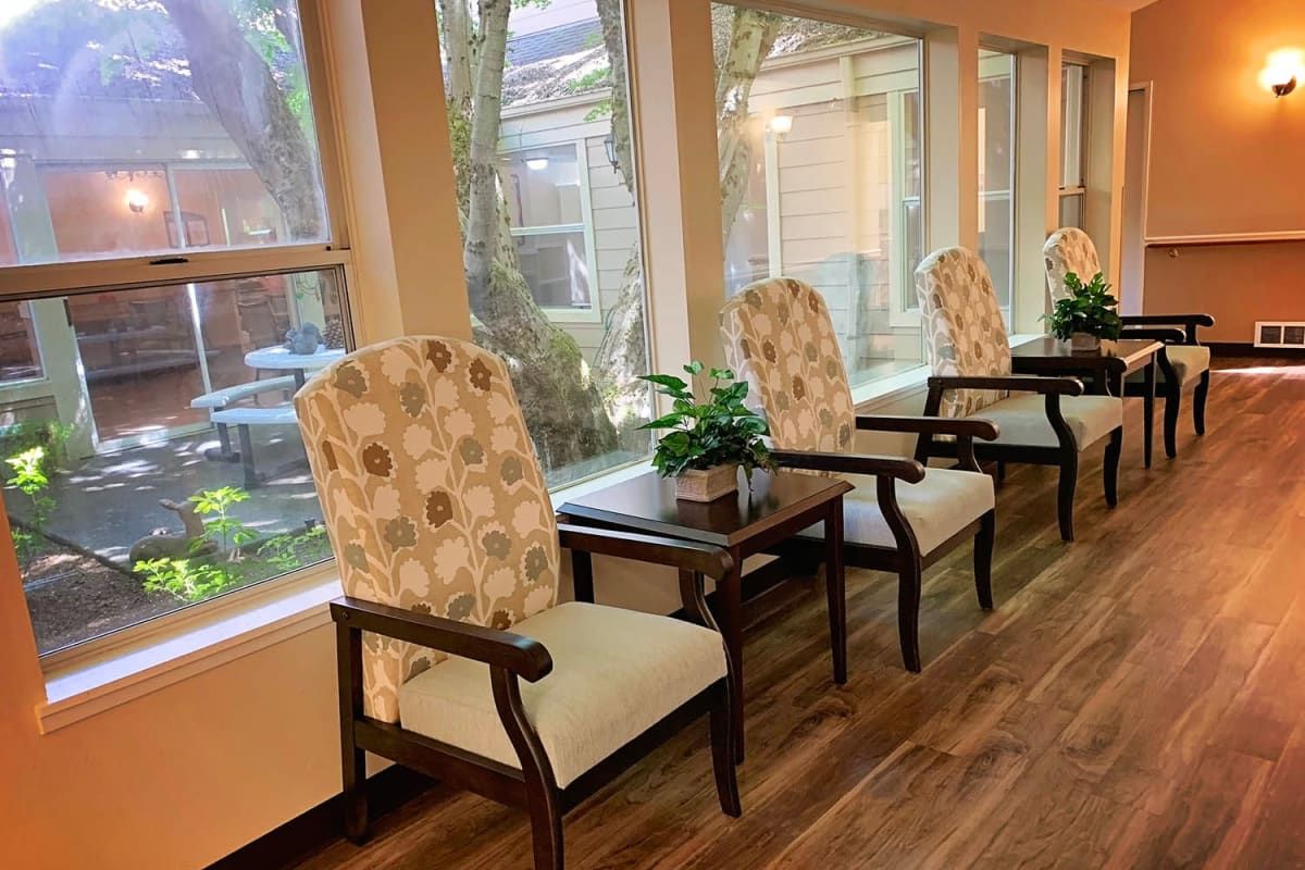 A cozy waiting area with patterned chairs and small plants by the window.