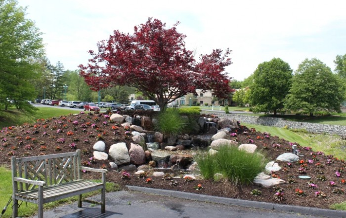 A landscaped garden with a tree featuring red foliage, surrounded by rocks and a bench.