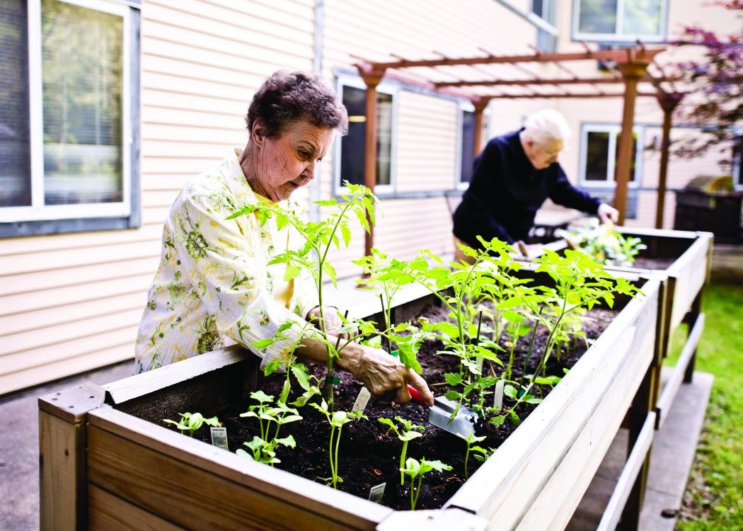 Two people tending to plants in a raised garden bed.