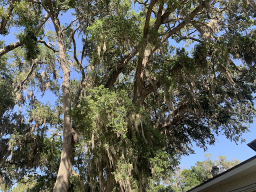 Braden River Rehabilitation Center
