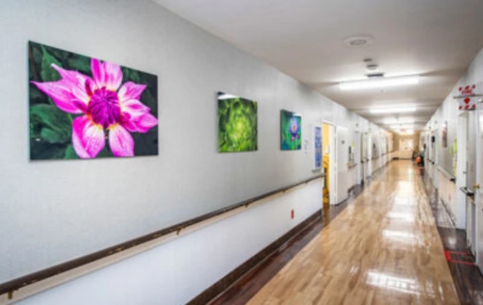A hospital hallway adorned with vibrant flower artwork on the walls.