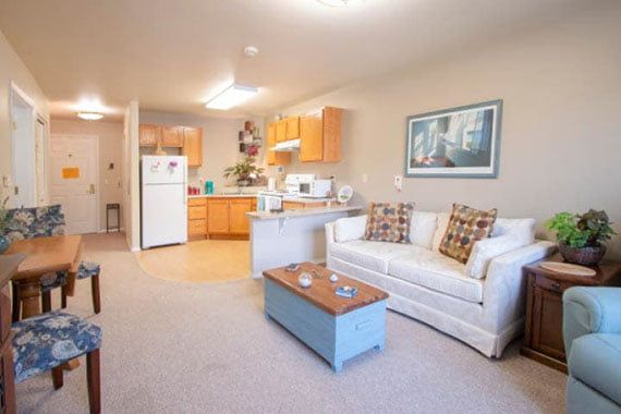 A cozy living room and kitchen area in an apartment, with a sofa and modern furnishings.