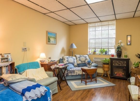 Cherry Oak Palm Beach County