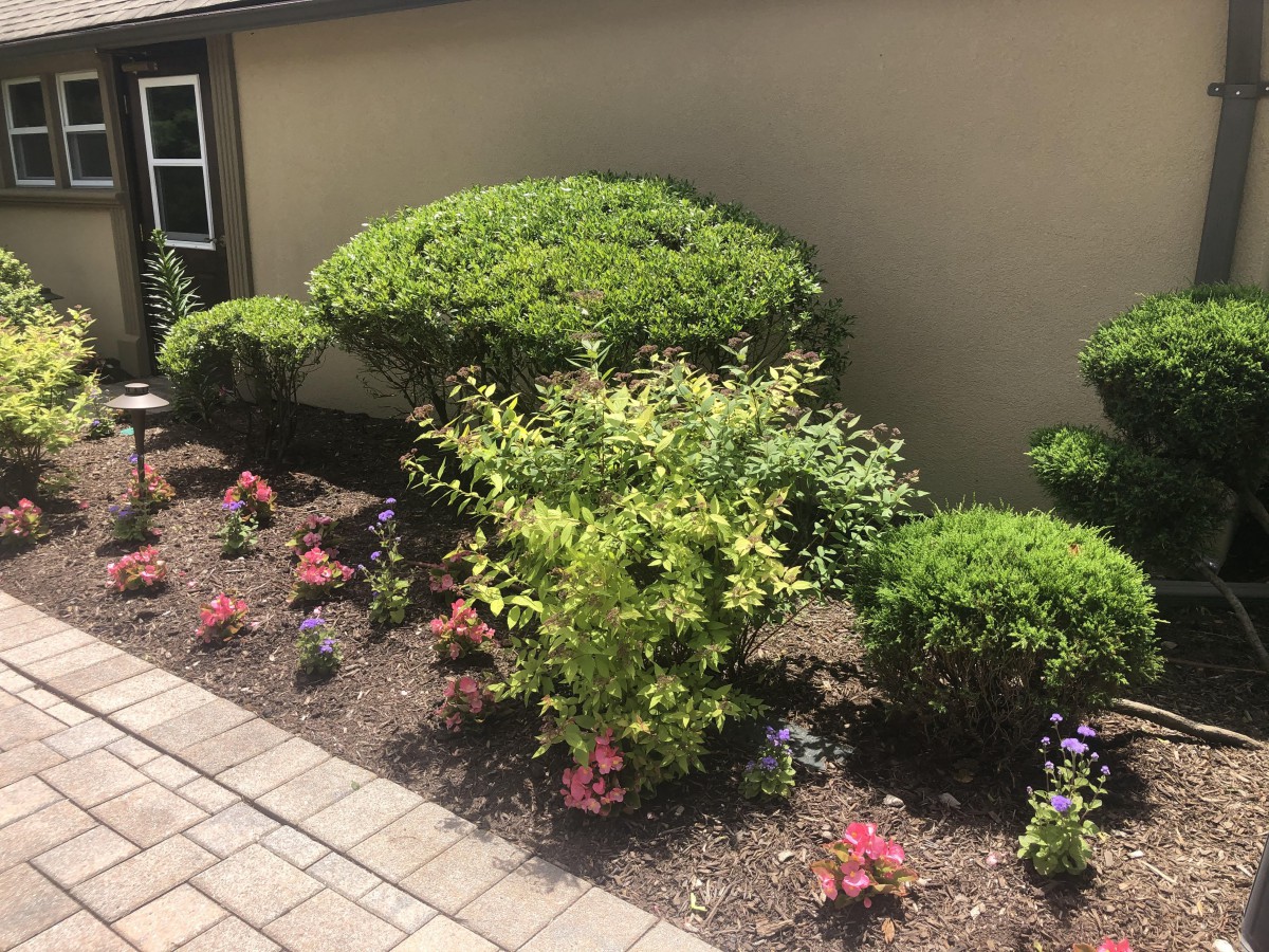 A well-maintained garden with bushes, shrubs, and flowers alongside a pavement.
