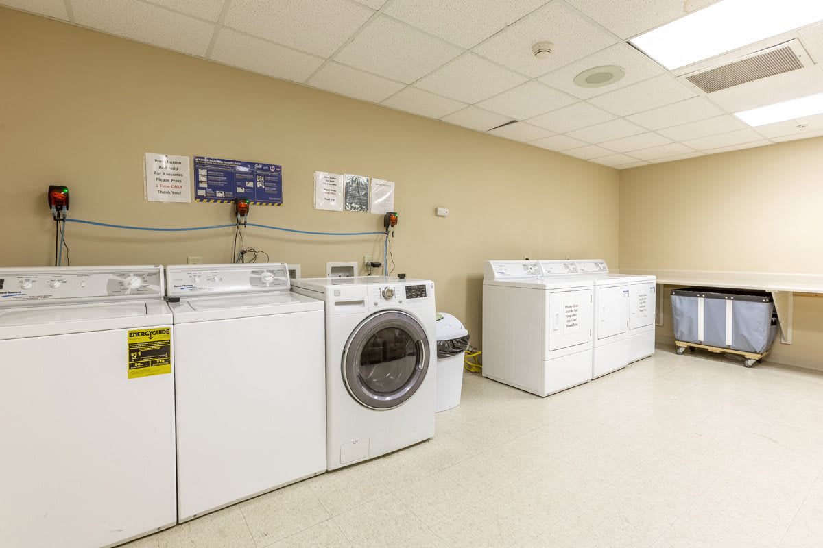 A well-organized laundry room featuring multiple washing machines and dryers.