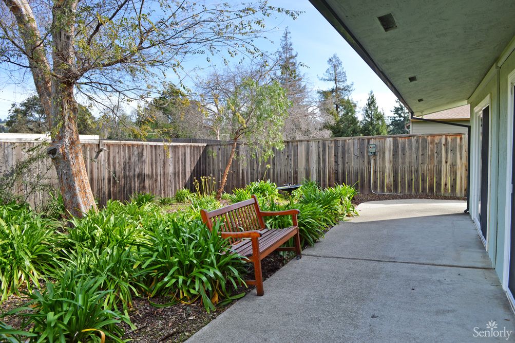 A peaceful garden patio with a wooden bench and lush greenery along the fence.