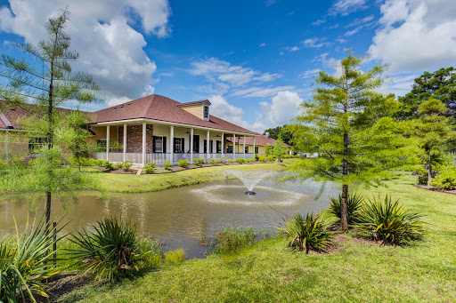 A serene view of a building beside a pond with a fountain, framed by lush greenery and a bright blue sky.