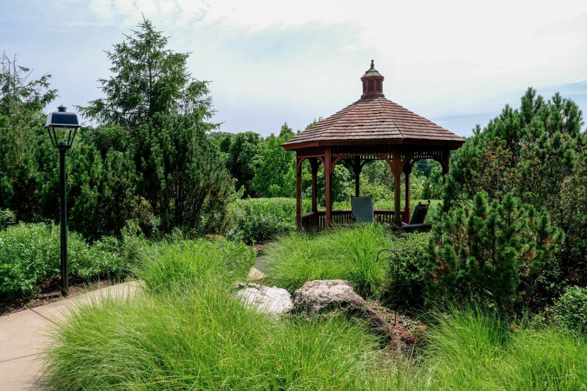 A serene garden featuring a wooden gazebo surrounded by lush greenery and trees.