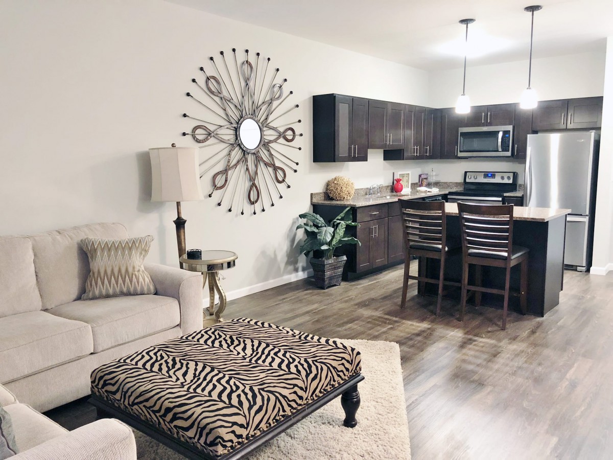 Modern open-concept living room and kitchen with stylish decor.