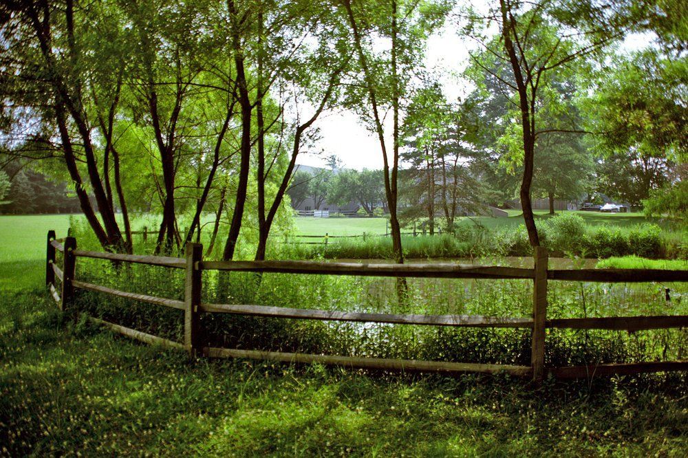 A serene park view with lush green grass and trees by a wooden fence.