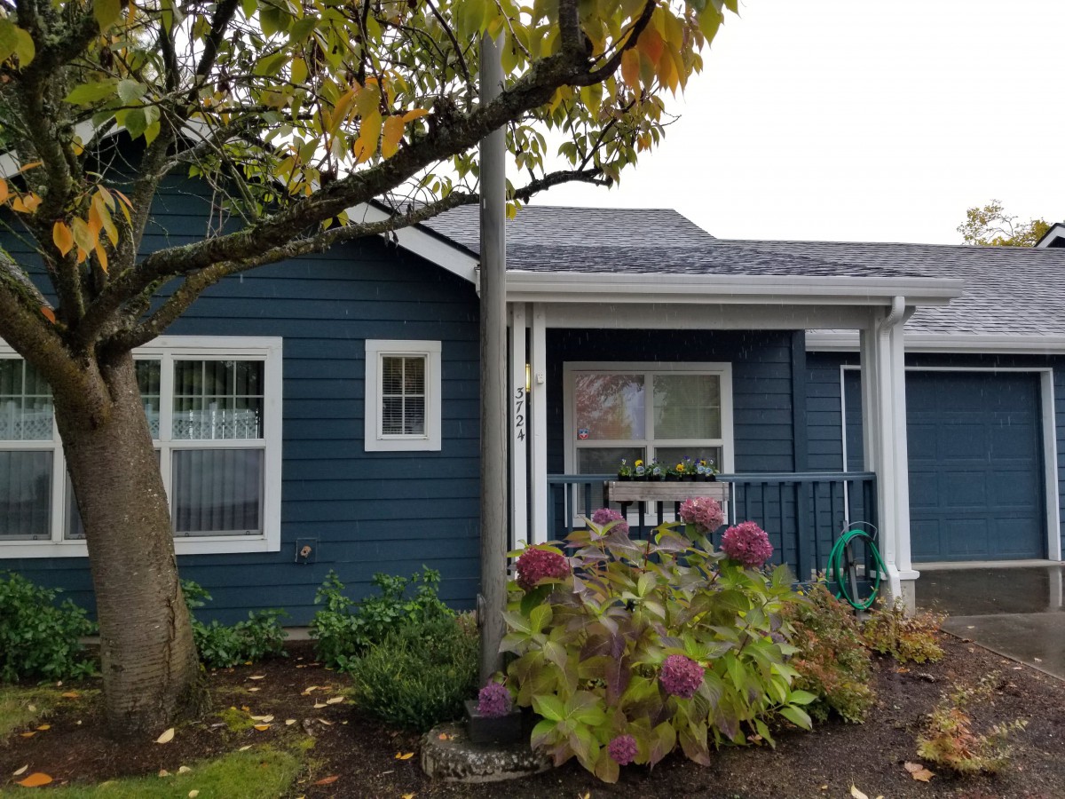 A charming blue house with a front garden featuring hydrangeas.