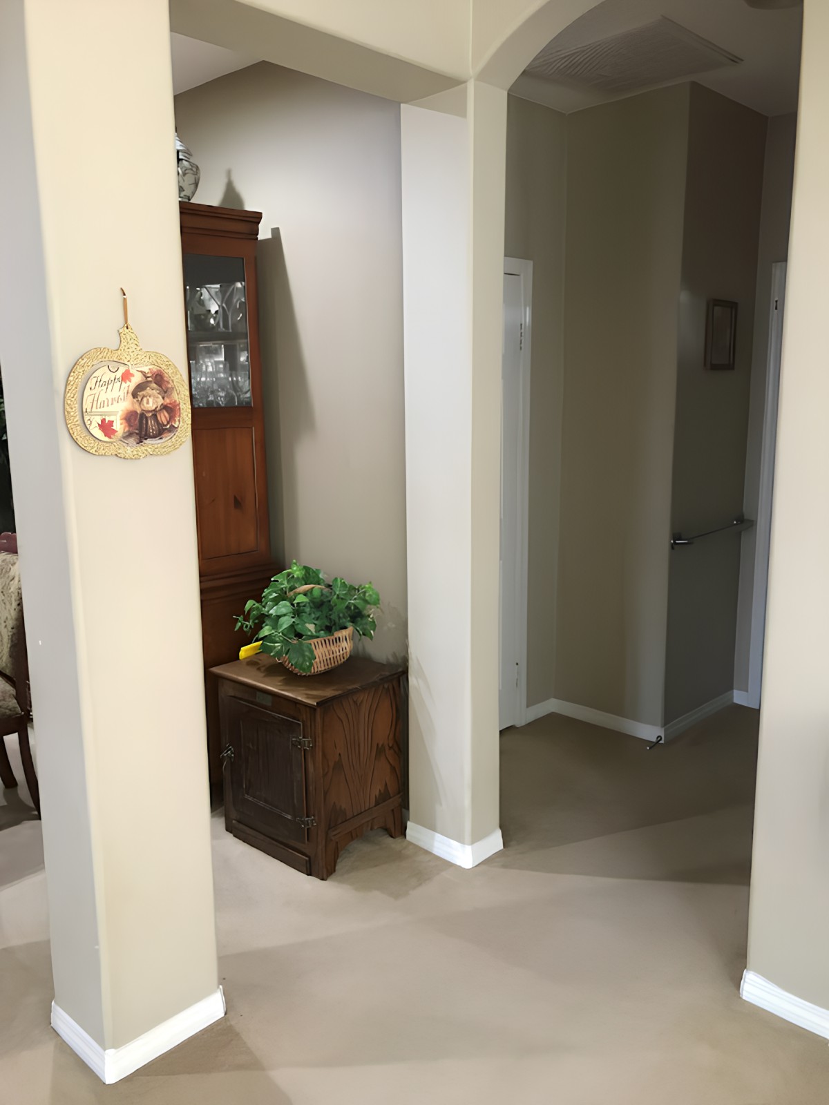 A cozy home interior with a hallway, featuring a cabinet and decorative plant.
