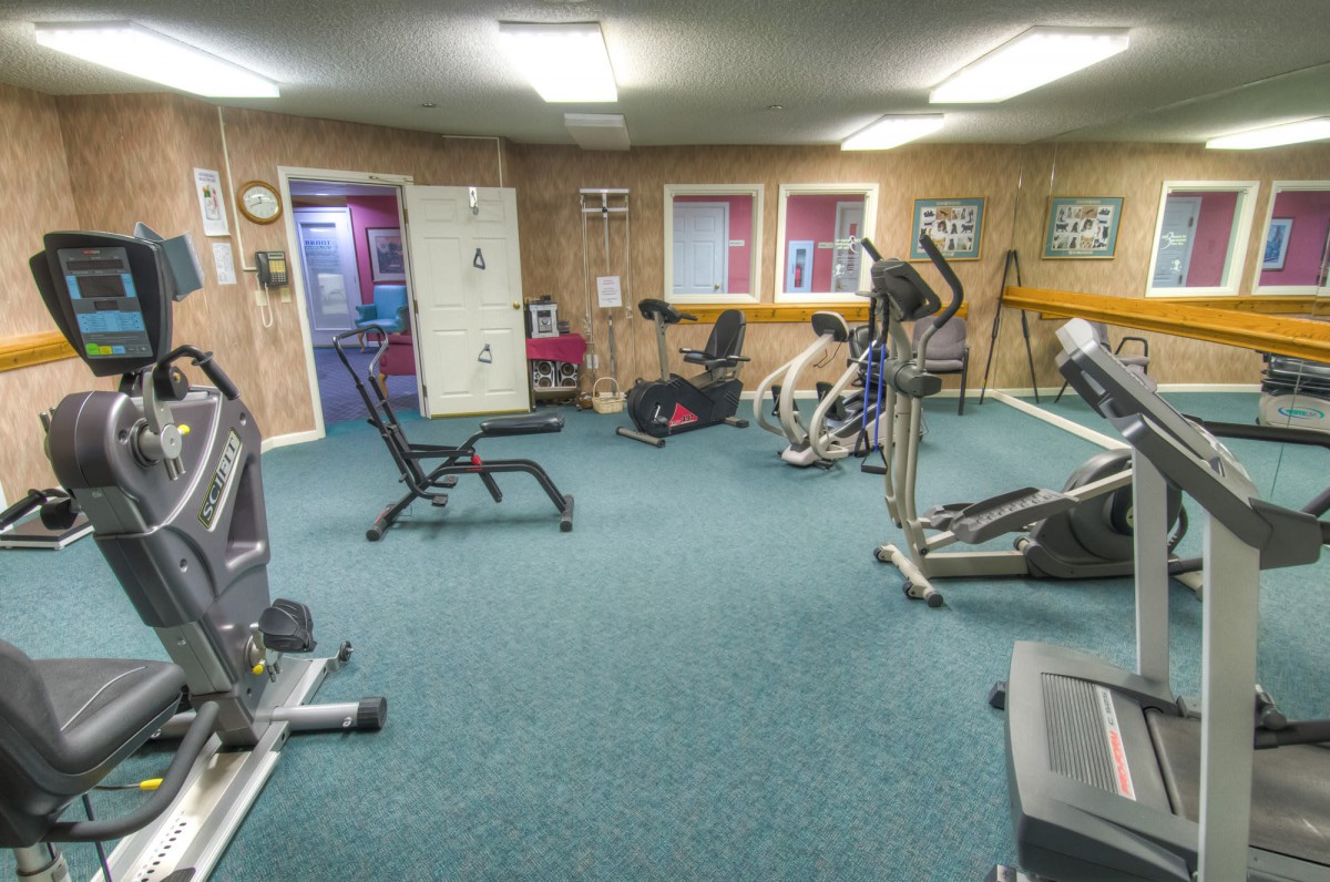 A home gym equipped with various exercise machines and a bench, providing a space for fitness and workouts.