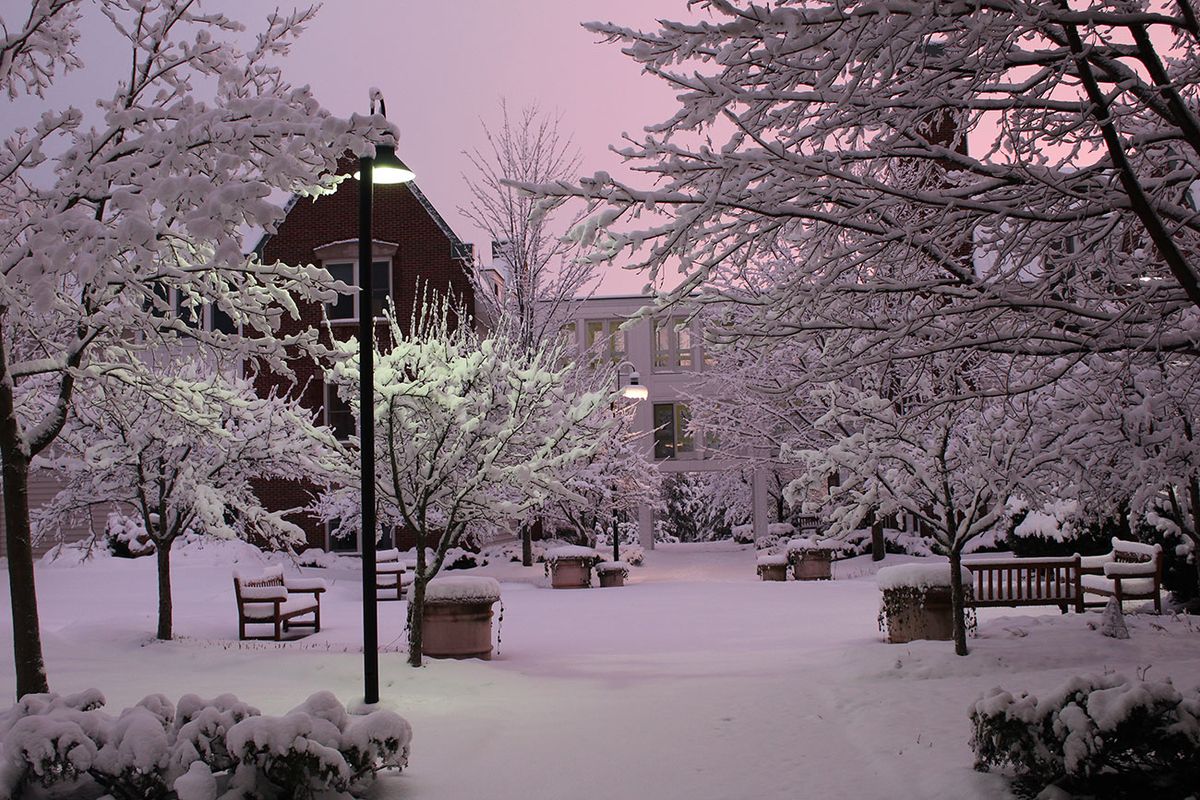 A serene winter scene with snow-covered trees and benches under a softly lit lamp post.