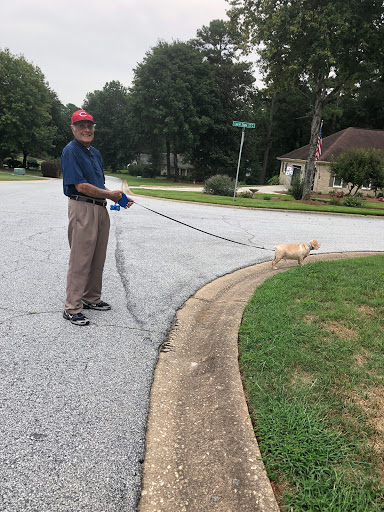 A man enjoying a stroll with his dog on a neighborhood street.
