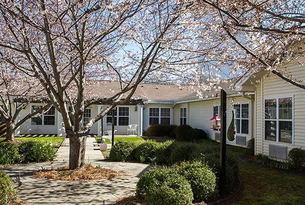 A peaceful garden scene with blossoming trees and a quaint house.