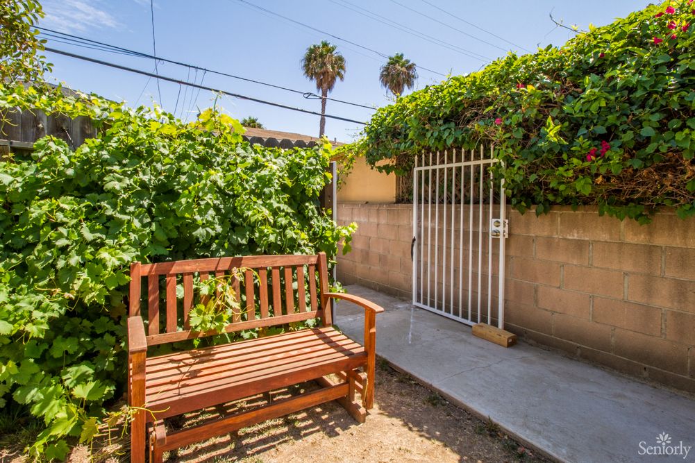 A sunny garden scene with a wooden bench, lush greenery, and a gated pathway.