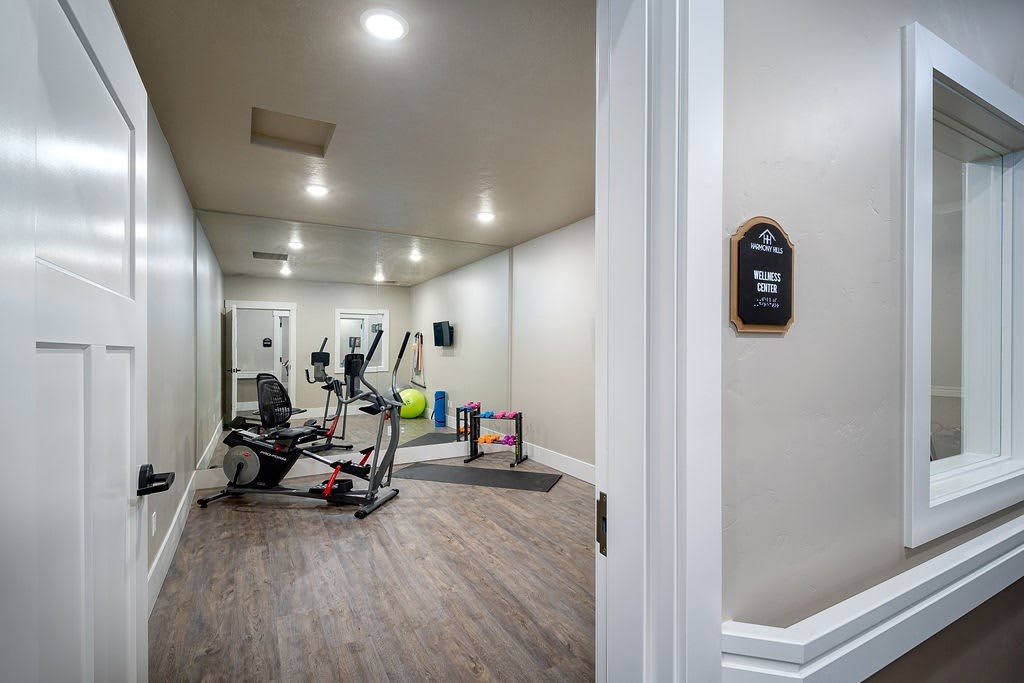 A home gym with various exercise equipment including a treadmill and an exercise bike.
