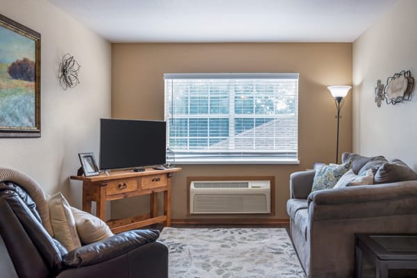 A cozy living room with a sofa, television, window, and lamp.