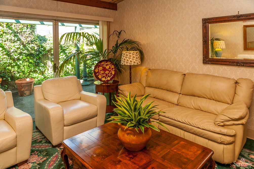 A cozy living room featuring a beige sofa, armchair, wooden coffee table with a potted plant, and a large window with outdoor greenery.