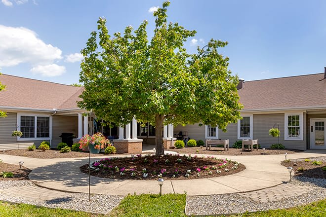 A tree stands in the center of a landscaped courtyard with a pathway, surrounded by a building.
