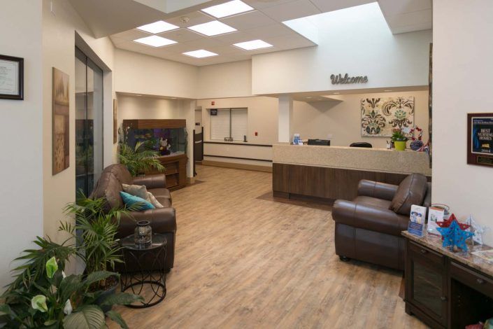 A welcoming reception area with comfortable seating and decorative plants.