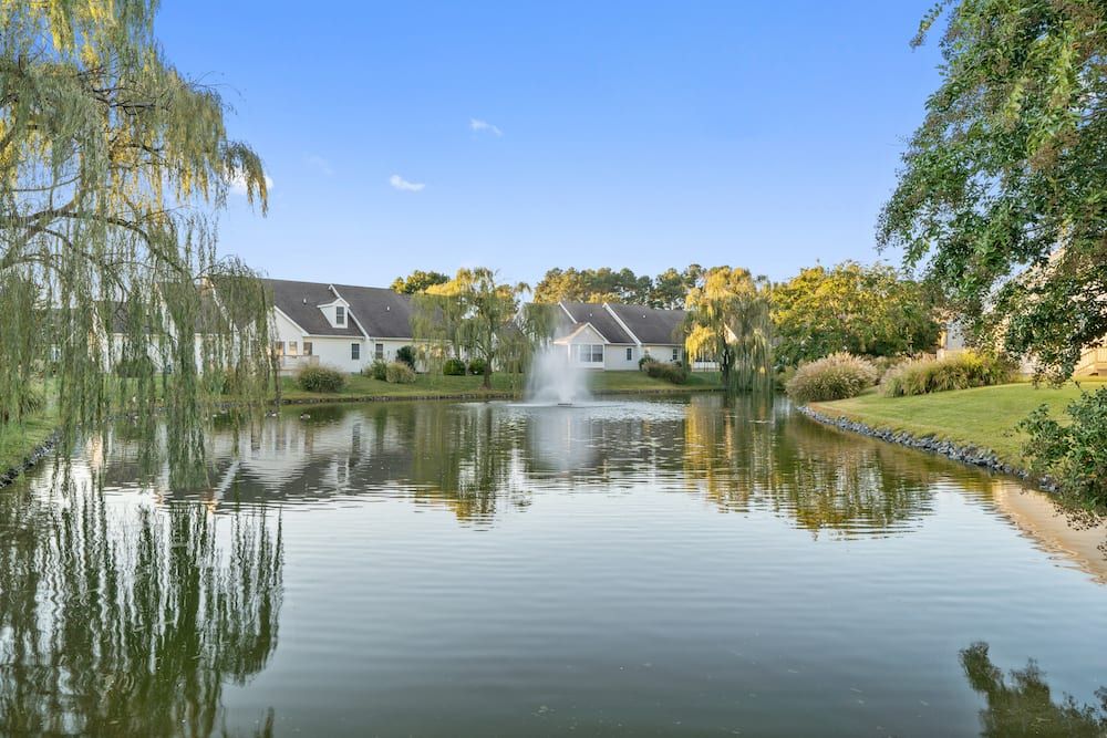 A tranquil lakeside view with houses, a fountain, and lush greenery on a clear day.