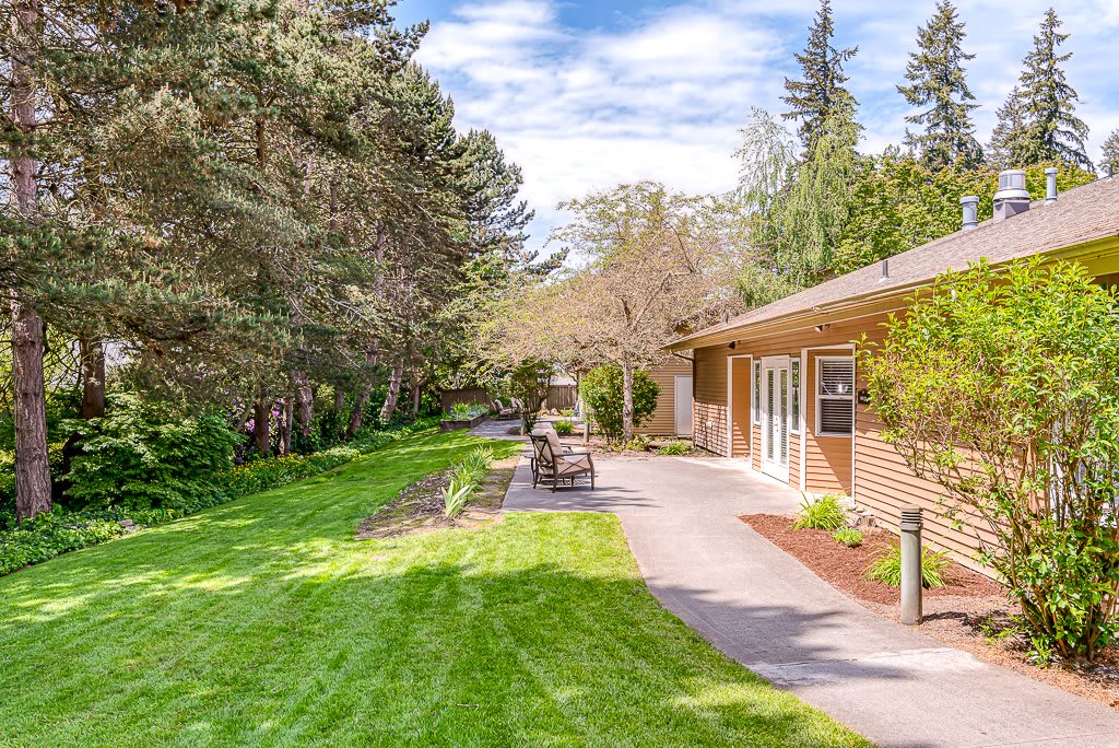 A serene garden with a green lawn, lined with trees, and a pathway leading to a building.