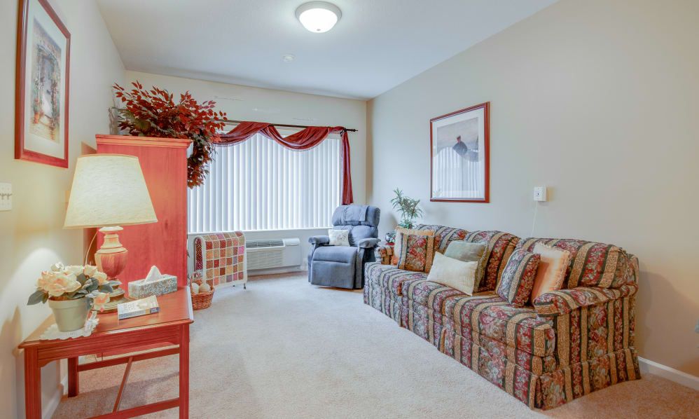 A cozy living room with a patterned sofa, armchair, decorative curtains, and a carpet.