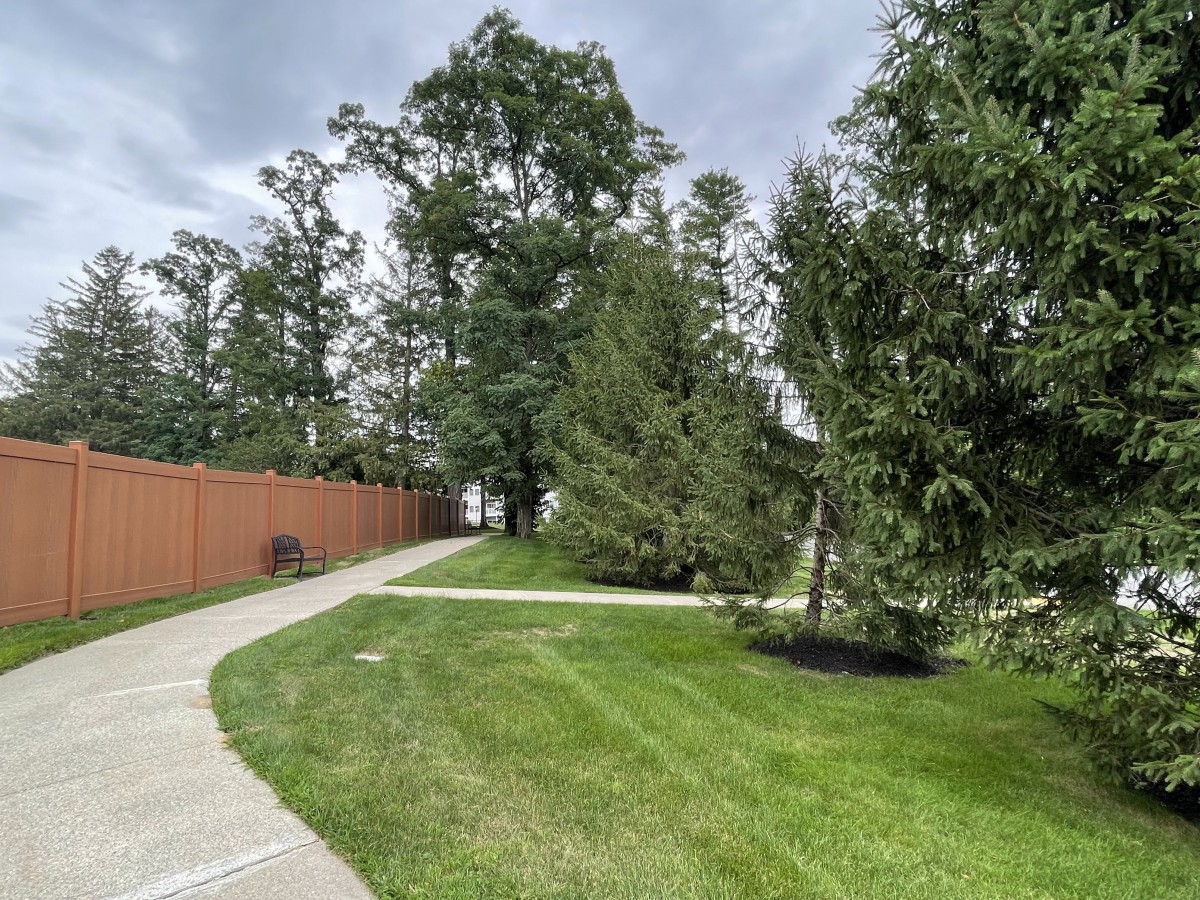 A scenic outdoor pathway surrounded by lush green grass and tall trees.