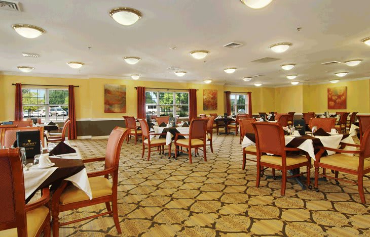 A well-lit dining room with arranged tables and chairs, featuring large windows and carpeted flooring.