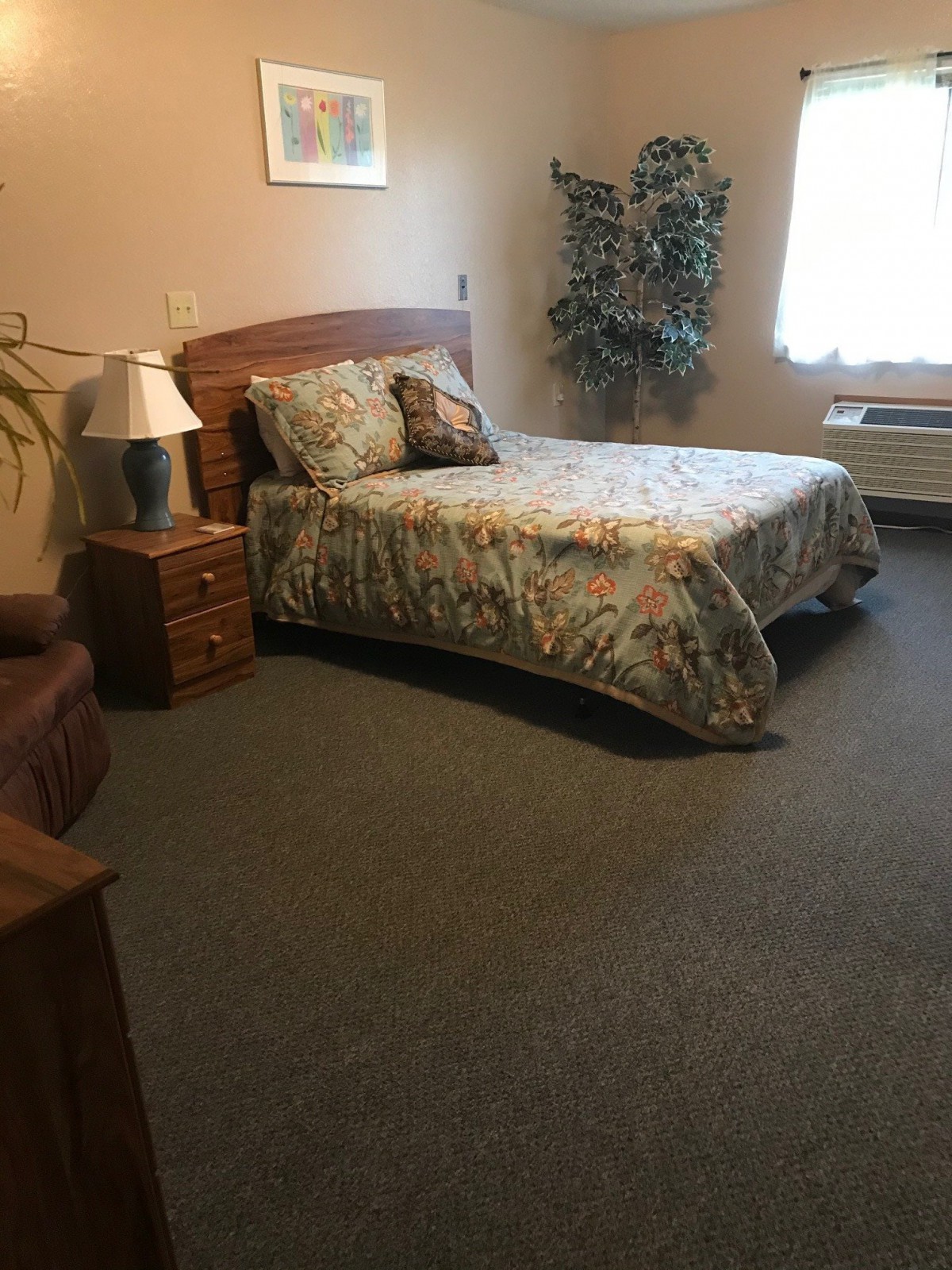 A cozy bedroom with a bed, nightstand, and decorative plants.