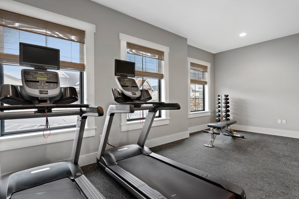 A modern gym with treadmills and free weights.