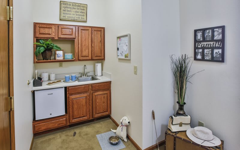 A compact kitchen area with wooden cabinets, a sink, and a small dog sitting beside a food dish.