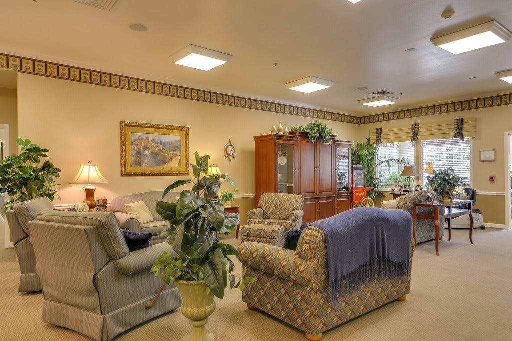 A cozy living room with comfortable seating and lush plants.