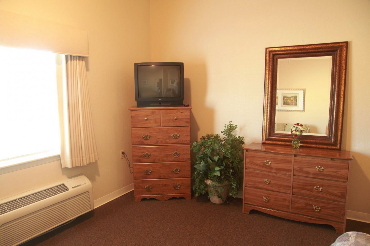 A bedroom corner featuring a television on a dresser, a mirror above another dresser, and a potted plant.