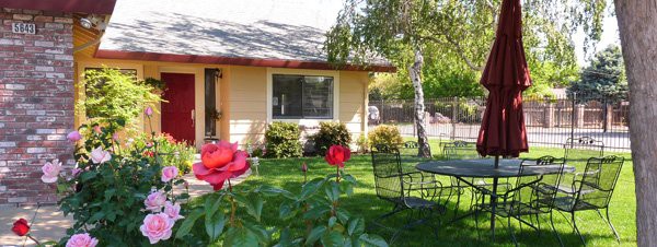 A cozy house with a blooming garden and patio furniture under the sun.