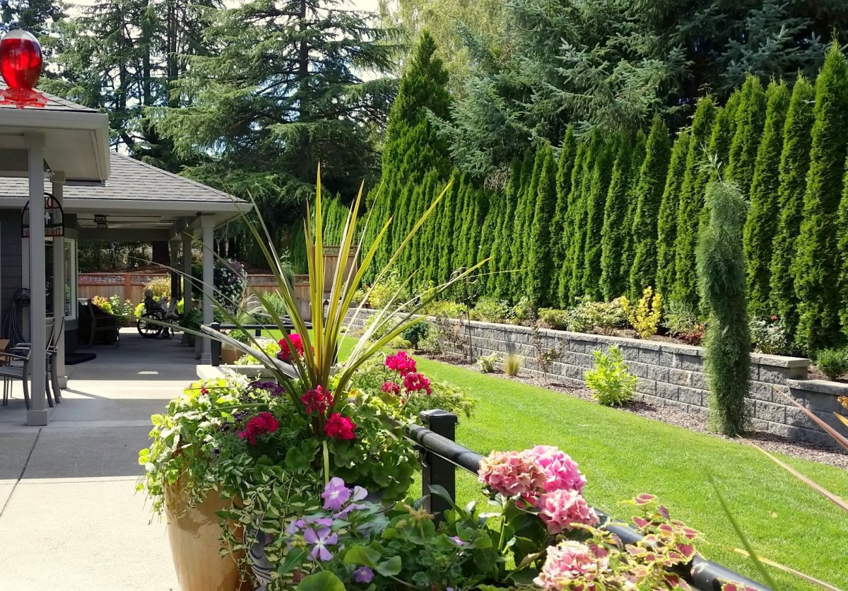A beautifully landscaped garden with vibrant flowers and tall evergreens.